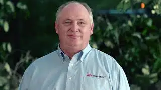 Alfa Insurance 