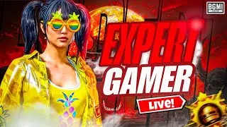 Expert is live on youtube ❤️