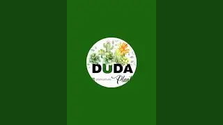 LIVE shop de Suculentas 08/08! DUDA Plantas Joinville!