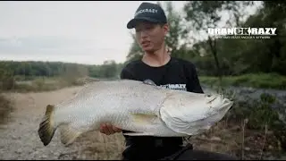 8KG Giant Barramundi landed with DK's Latest Rod INFINITY BEYOND VINGS 6'3 3 8LB