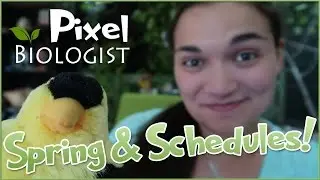 Spring Joy, Scheduling Progress & Summer in Space?! &bull; Pixel Biology Updates