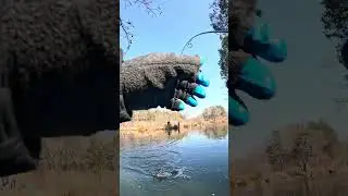 Cast to catch, Blue River Oklahoma Rainbow Trout fishing , Hughes Crossing