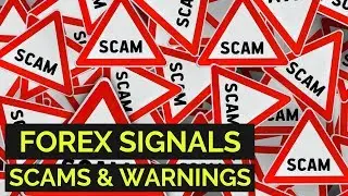 Forex Signal Scams and Warnings 🛑