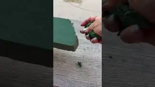 Crunchy Floral Foam ASMR #asmr #oddlysatisfying #satisfying #crunchyasmr #relaxing #fypシ゚viral