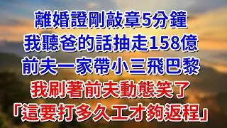 離婚證剛敲章5分鐘，我聽爸的話抽走158億，前夫一家帶小三飛巴黎，我刷著前夫的動態笑了：這要打多久工才夠返程#阿木講故事#為人處世#生活經驗#情感故事#養老#睡前故事