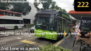 [SBST](2nd time doing 222;common cameo) SMB3078S 222 Bedok Interchange to Bef Heatbeat @ Bedok