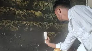 how to wall texture design Apex black colour vs metallic gold