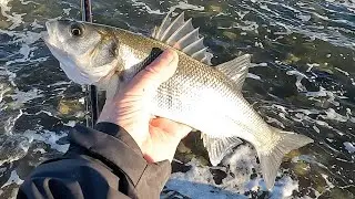 Rock hopping for Bass ! 