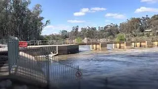 Murray River, Robinvale, Euston and Mildura - Is a flood coming? 13/09/22