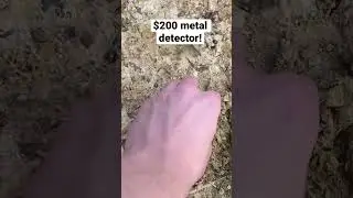This $200 metal detector might be worth your money