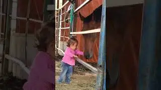 Warm moments: children and horses🥰#horse#funny #for #foryou #fyp #funnyvideo #animal #usa #pets