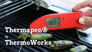 Thermapen Thermometer by Thermoworks - My Recommendation