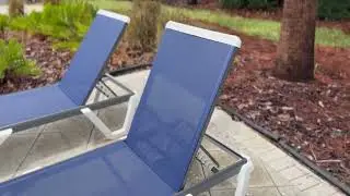 PURPLE LEAF Patio Chaise Lounge Set of 2 Plastic Pool Outdoor Lounge Chair
