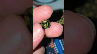 sapphire pancawarna HQ #gemstone #batumewah #batuakik #batukalimayakristal #diamond #batuku
