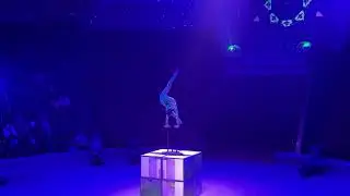 Veronica Voitko | circus act 2026