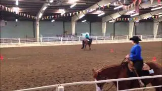 Western Pleasure Horse FOR SALE
