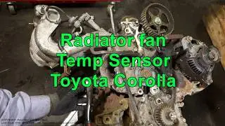 How to replace radiator fan temp sensor Toyota Corolla years 1992 to 2002