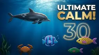 Watch This Ocean Timer Countdown! 30 minutes | Uplifting Music | Timers and English | Fun For Kids!