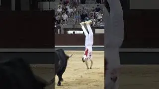 💥 ESPECTACULAR SALTO MORTAL A UN TORO BRAVO EN LAS VENTAS #toros #toroultra #bull #tricks #2025