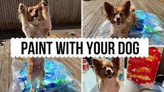 Paint with your DOG! (no mess) || Your dog is the artist!