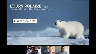Web Conférence : OURS POLAIRES