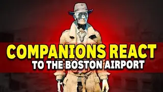 Companions React to the Boston Airport