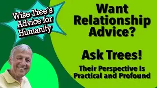 Want Relationship Advice? Five Wise Trees Give Their Sage Perspective About Living Together
