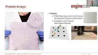 Biomarker Entdeckung - Suche, Entdeckung, Verifizierung & Validierung