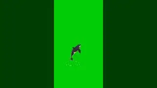 fish green screen ❤️❤️