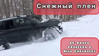 Едем в лес! LC Prado 2022,Frontera b, Шнива.