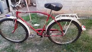 duas mosca branca brasil 71
