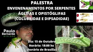 PALESTRA ENVENENAMENTOS POR SERPENTES &Aacute;GLIFAS E OPIST&Oacute;GLIFAS (COLUBRIDAE E DIPSADIDAE) - 15/10/2025