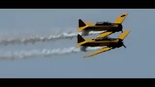 Yellow Thunder, Harvard T6 Texan Trainiers