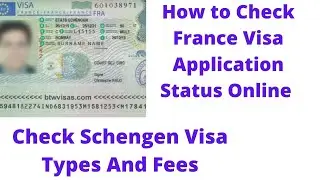 How to Check Schengen Visa Status | How to Check France Visa Application Status Online