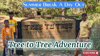 Nature's Playground: Tree Adventure Experience in Gaston, Oregon