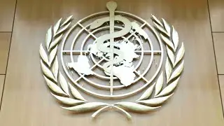 WHO experts to conduct field visit to China on January 14