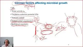 C5-04 microbial growth under the effects of intrinsic factors| Dairy technology