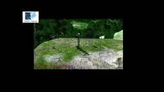Long Range Camera Radar Border Security Solution