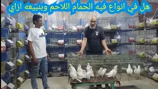 عبده خد ارانب ونجح جاي ياخد حمام شوف عملنا معاه ايه وهتعرف الابيض من الزفر