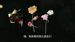 塔羅占卜 | 最近大家有讨论我们什么？最近外貌气场的实时检测？2026会有哪些主角光环？