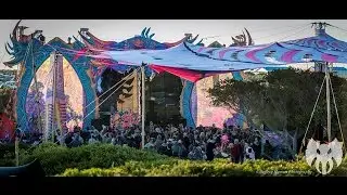 Alien Safari - Sprung 2016 (Entering the DF)