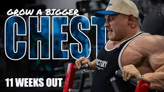 Grow a Bigger Chest (MegaMass Edition) | 11 weeks out | Martin 