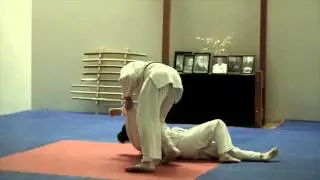 The Judo Fundamentals of Silverstrand Dojo International