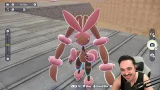 HEITIR CA&Ccedil;ANDO SHINY NO POKEMON ZA SWITCH 2 #4 - Streams do Heitir