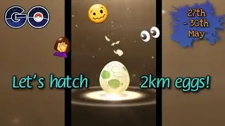 Hatching 2km eggs 🥚