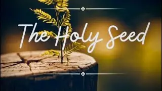 🔥🔥🔥🕊👉”I PLANTED THE HOLY SEED IN YOU!”👈🕊️🔥🔥🔥 6025-011726