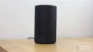 3 Budget Amazon Echo Accessories!