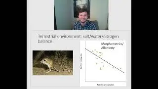 4.3 ecology: terrestrial water balance