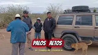 Rancho PALOS  ALTOS  nos fuimos a EXPLORAR