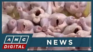 Philippines lifts poultry imports ban on Australia | ANC